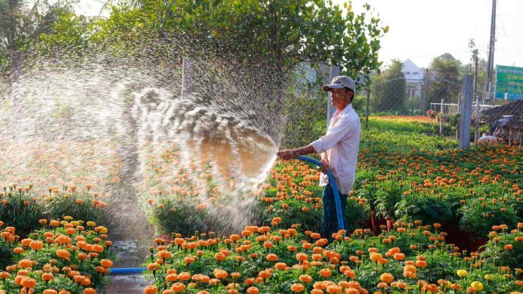 Giardiniere lavoro